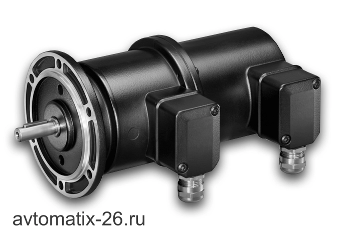 Тахогенератор Baumer TDP0,2 LT-4 B10 55 + FSL1 FV