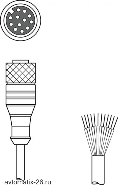 Разъем с кабелем Leuze Electronic KD S-M12-CA-P1-003