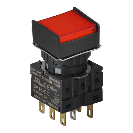 Кнопочный выключатель Autonics S16PRS-H3R2C24