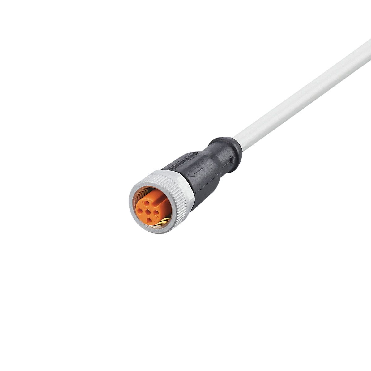 Разъем с кабелем IFM Electronic EVW167