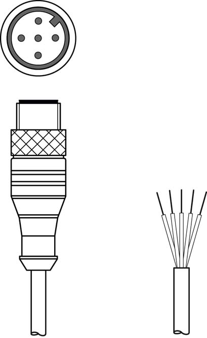 Разъем с кабелем Leuze Electronic CB-M12-5000E-5GM