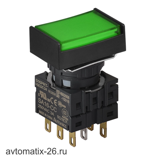 Кнопочный выключатель Autonics S16PRT-H4G2C24