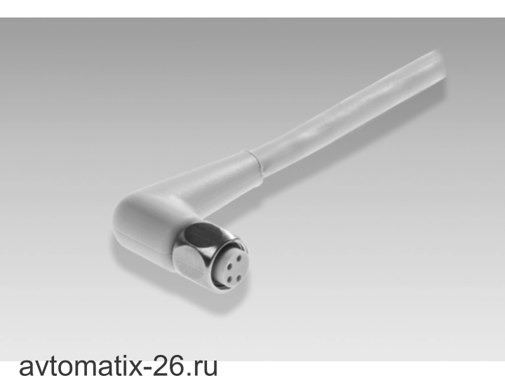 Разъем с кабелем Baumer ESW 31AY0500