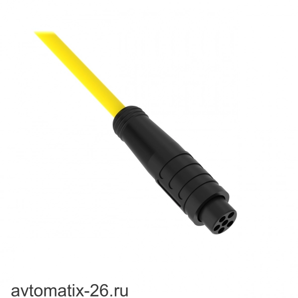 Разъем с кабелем Banner PKG6Z-9