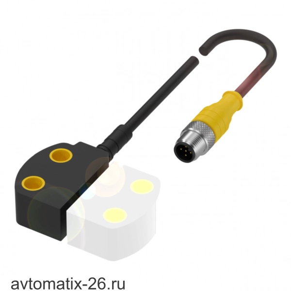 Магнитный датчик безопасности Balluff BID R02K-4R300-O20ZZ0-EP00,2-S92