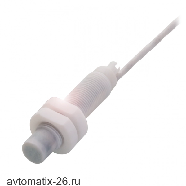 Емкостной датчик уровня Balluff BCS M12TTG1-NOM80G-ET02