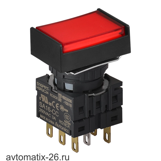Кнопочный выключатель Autonics S16PRT-H3R2C24