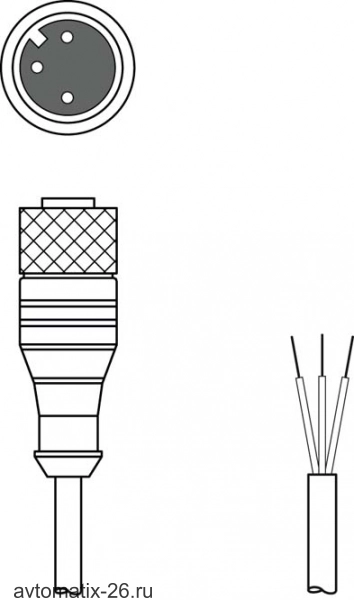 Разъем с кабелем Leuze Electronic KD U-M12-3A-V1-100