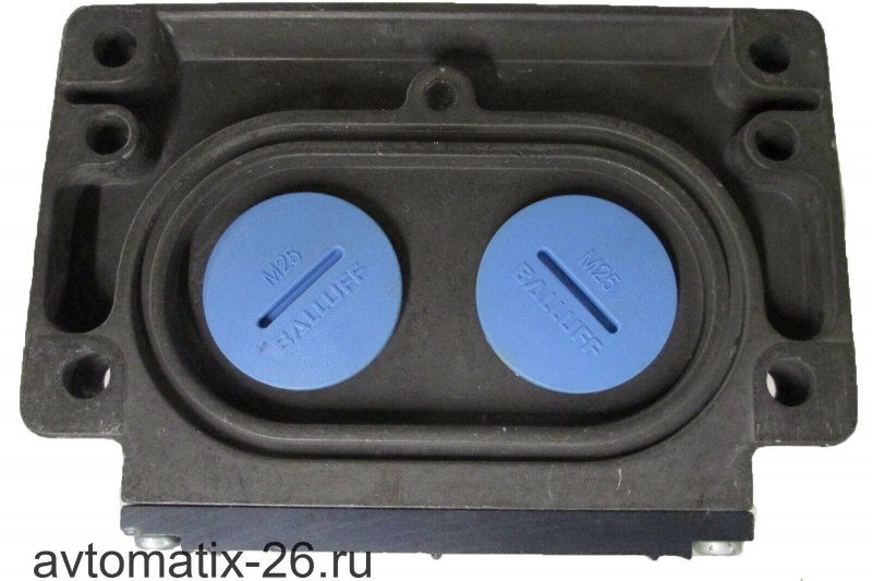 Блочный выключатель Balluff BNS 829-D05-D12-100-10