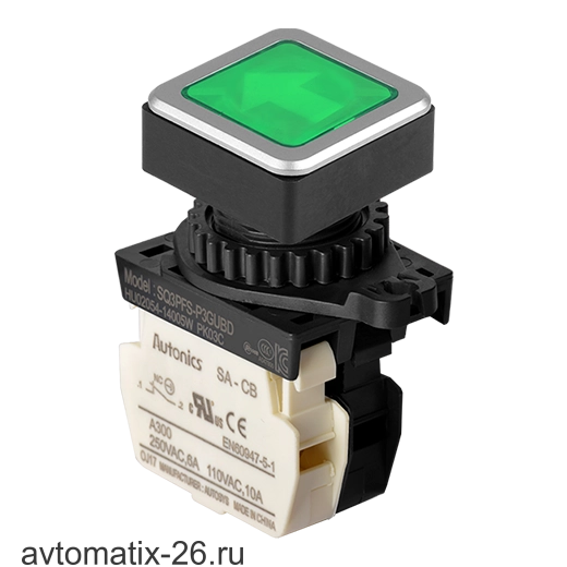 Кнопочный выключатель Autonics SQ3PFS-P3GUBDM