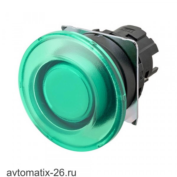 Кнопочный выключатель Omron A22NZ-BMM-TGA