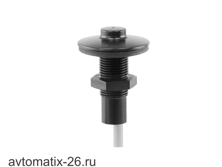 Емкостной датчик уровня Baumer CFAK 12P3140/L