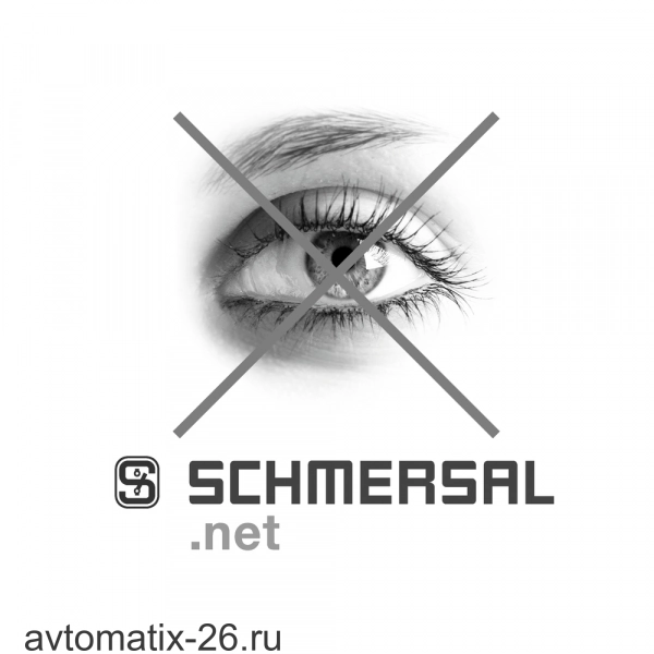 Кнопочный выключатель Schmersal NDLP30BL/BL
