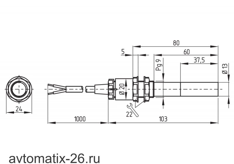 Магнитный герконовый датчик Schmersal BN65-10Z/V