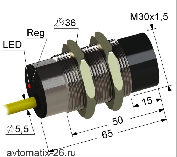 Емкостный датчик PS1-30M65-30N61-K