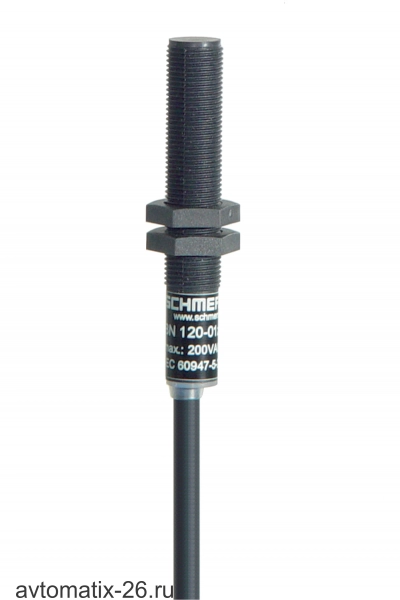 Магнитный герконовый датчик Schmersal BN120-10Z/V