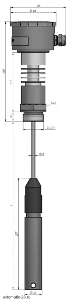 Емкостной уровнемер СЕНСОР ДНЕ-4В099-110Т33
