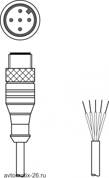 Разъем с кабелем Leuze Electronic CB-M12-5000E-5GM