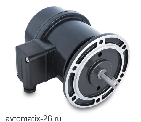 Тахогенератор Baumer TDP0,2 LT-4 B3 55 14X30