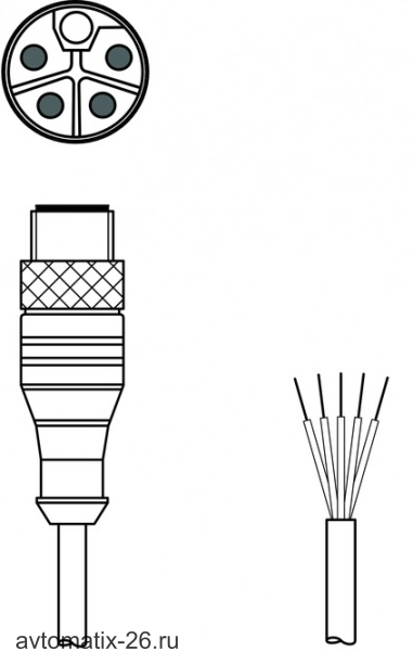 Разъем с кабелем Leuze Electronic KD PL-M12-5A-P0-150