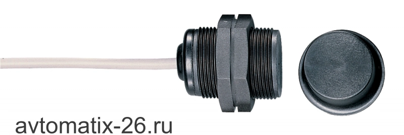 Магнитный датчик безопасности Schmersal BNS303-12Z