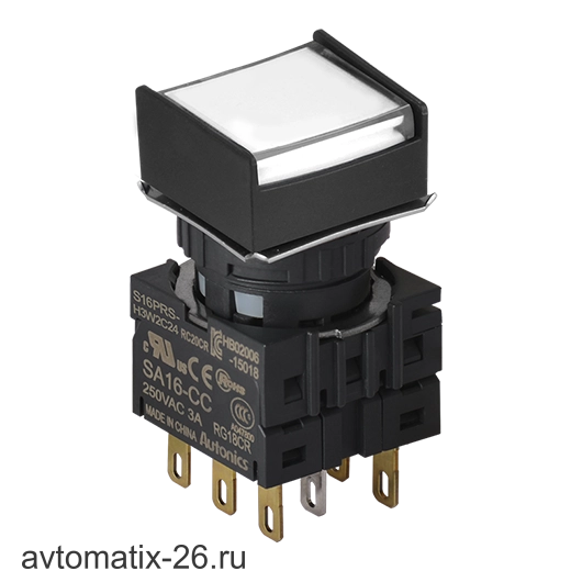 Кнопочный выключатель Autonics S16PRS-H4W2C12