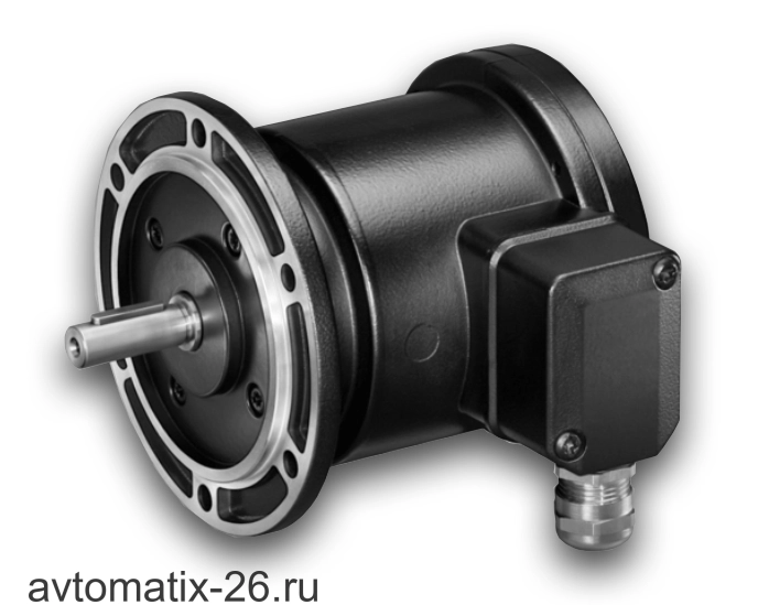 Инкрементальный энкодер Baumer POG86 TN1 DN 1250 I