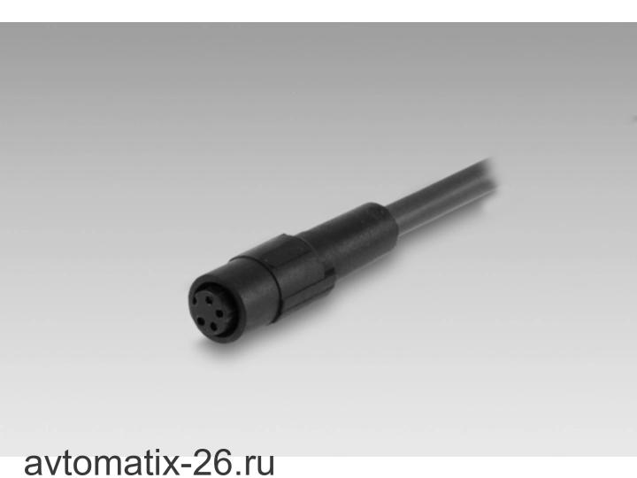 Разъем с кабелем Baumer ESG 09SH1000
